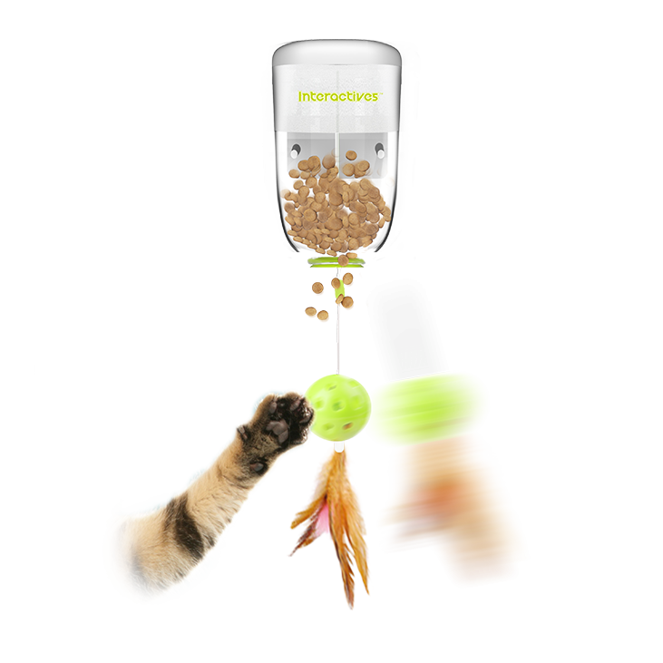 3237.png