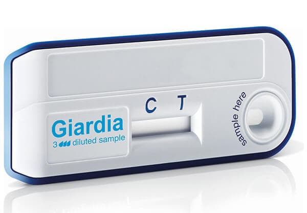 Giardiasa 5.jpg