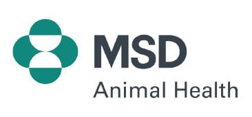 Logo MSD.jpg